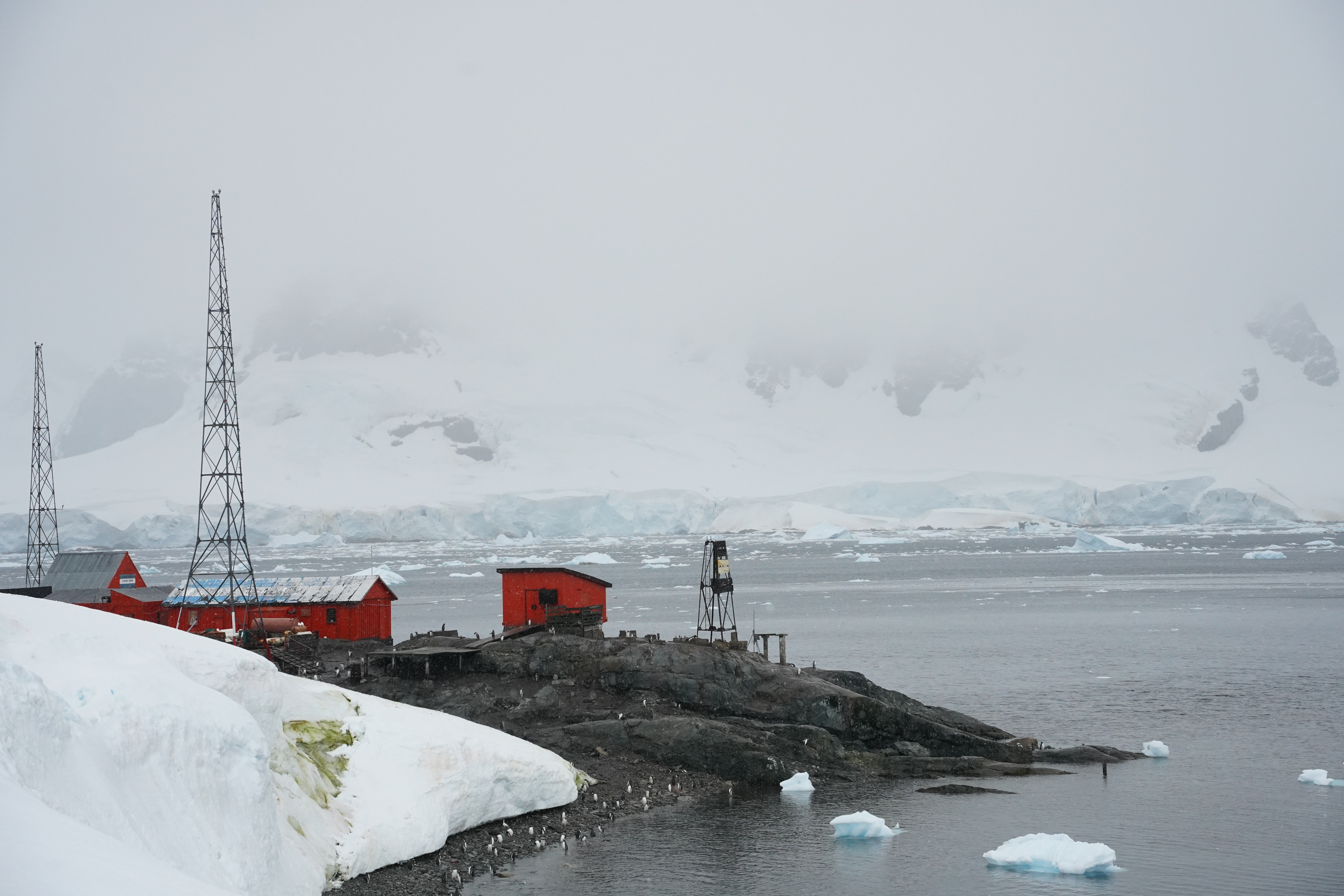 The Argentine research base, Brown Station, which has been overrun by penguins.