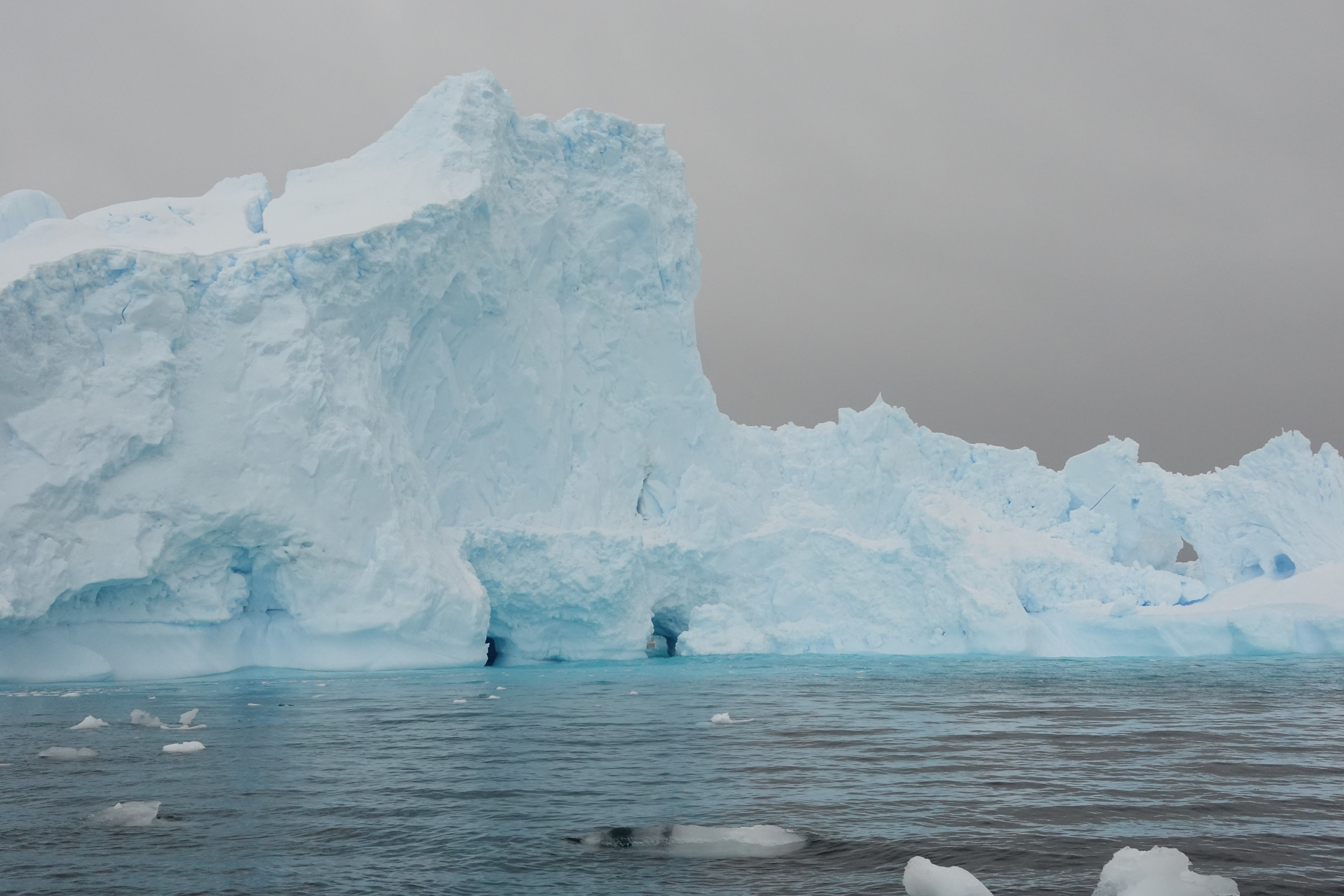 A glacier floating in the waters of Flandres Bay, Antarctica.