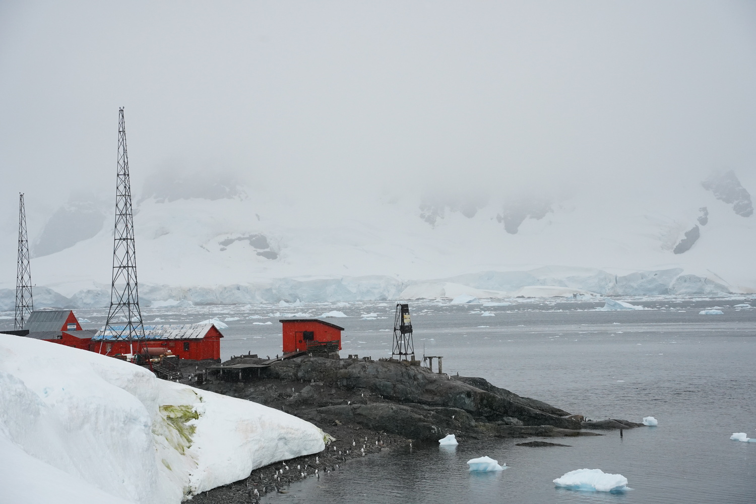 The Argentine research base, Brown Station, which has been overrun by penguins.