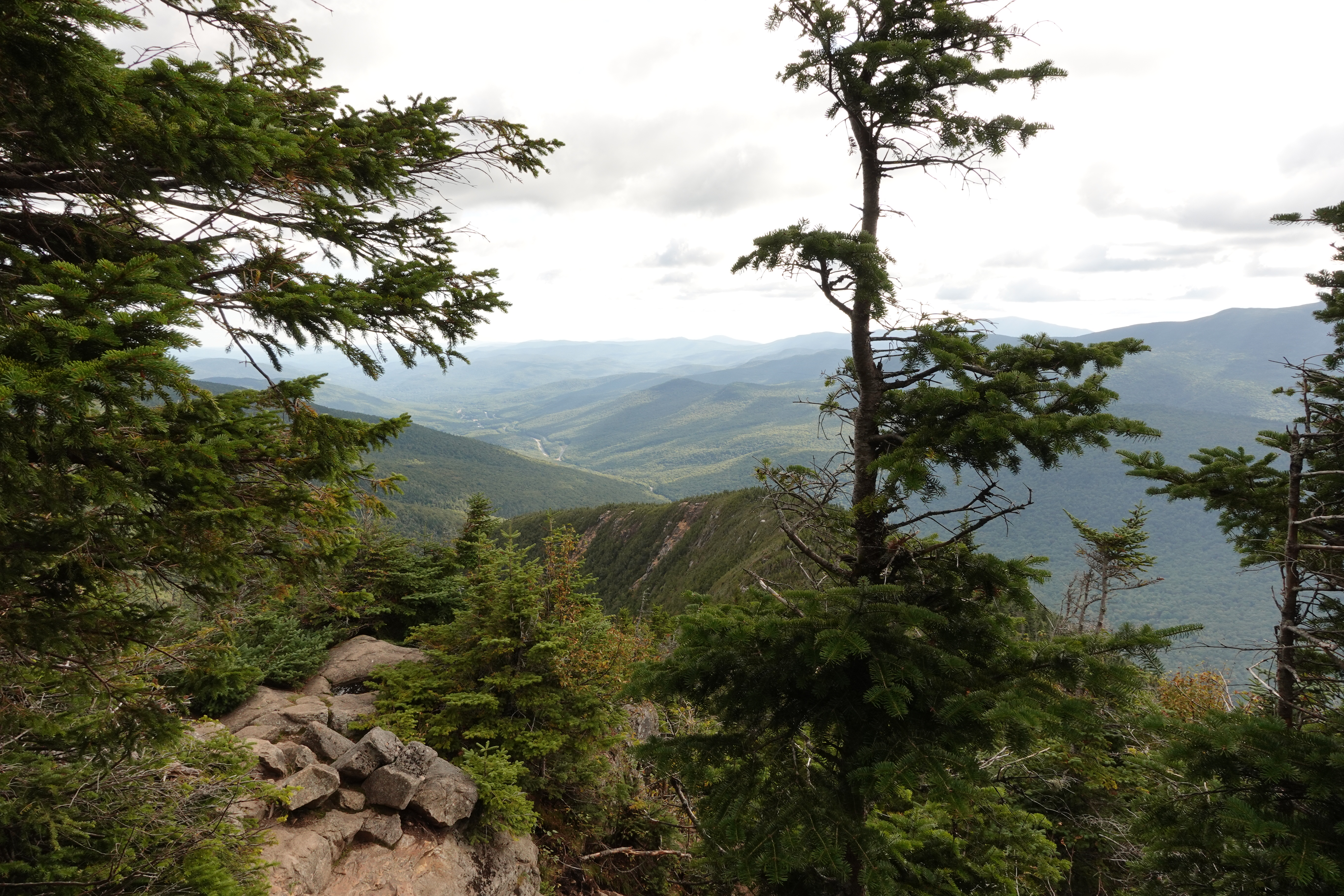A view of the Old Bridle path on the ascent up Mount Lafayette.