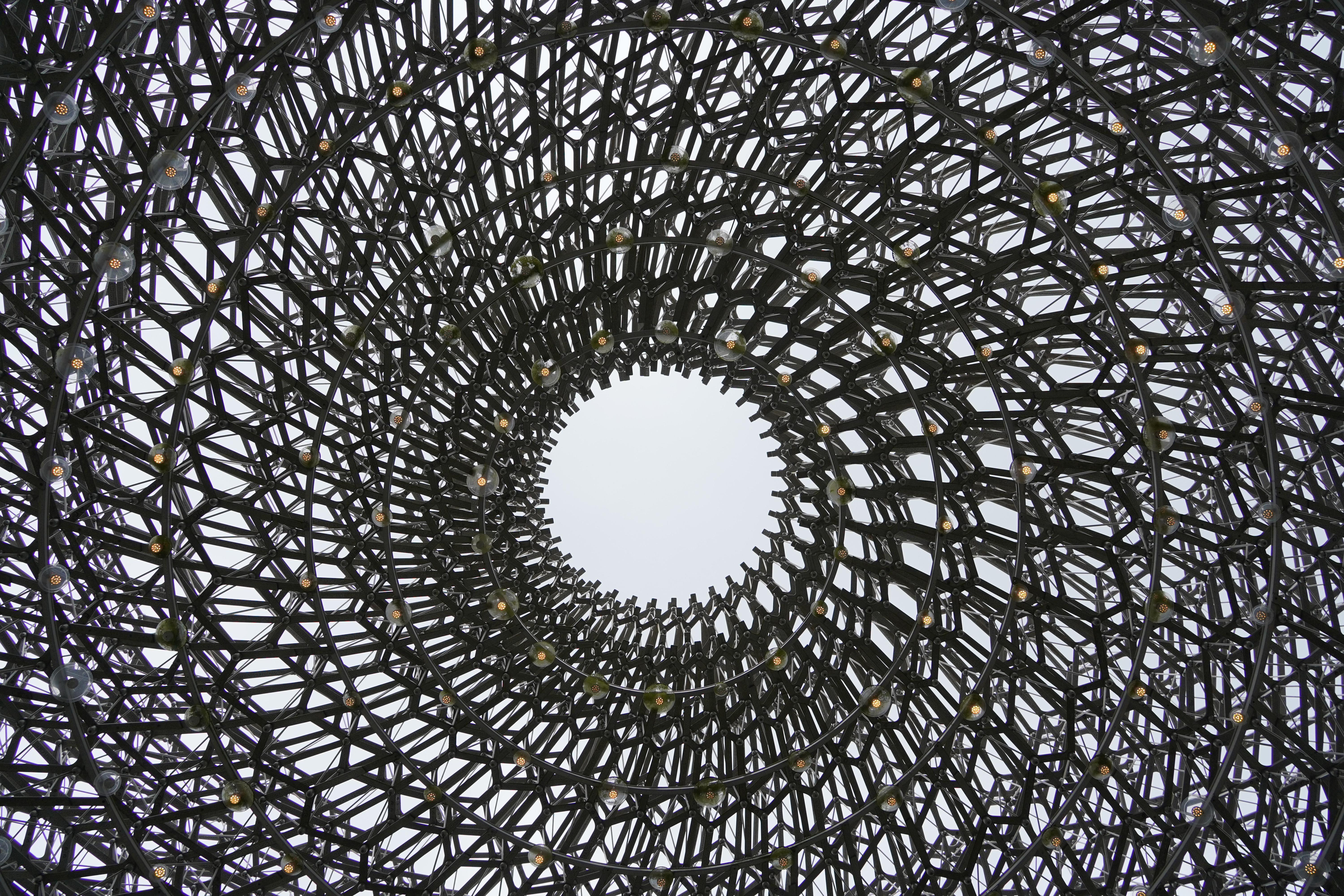 An image of a huge metal art structure in Kew Gardens called the Hive.