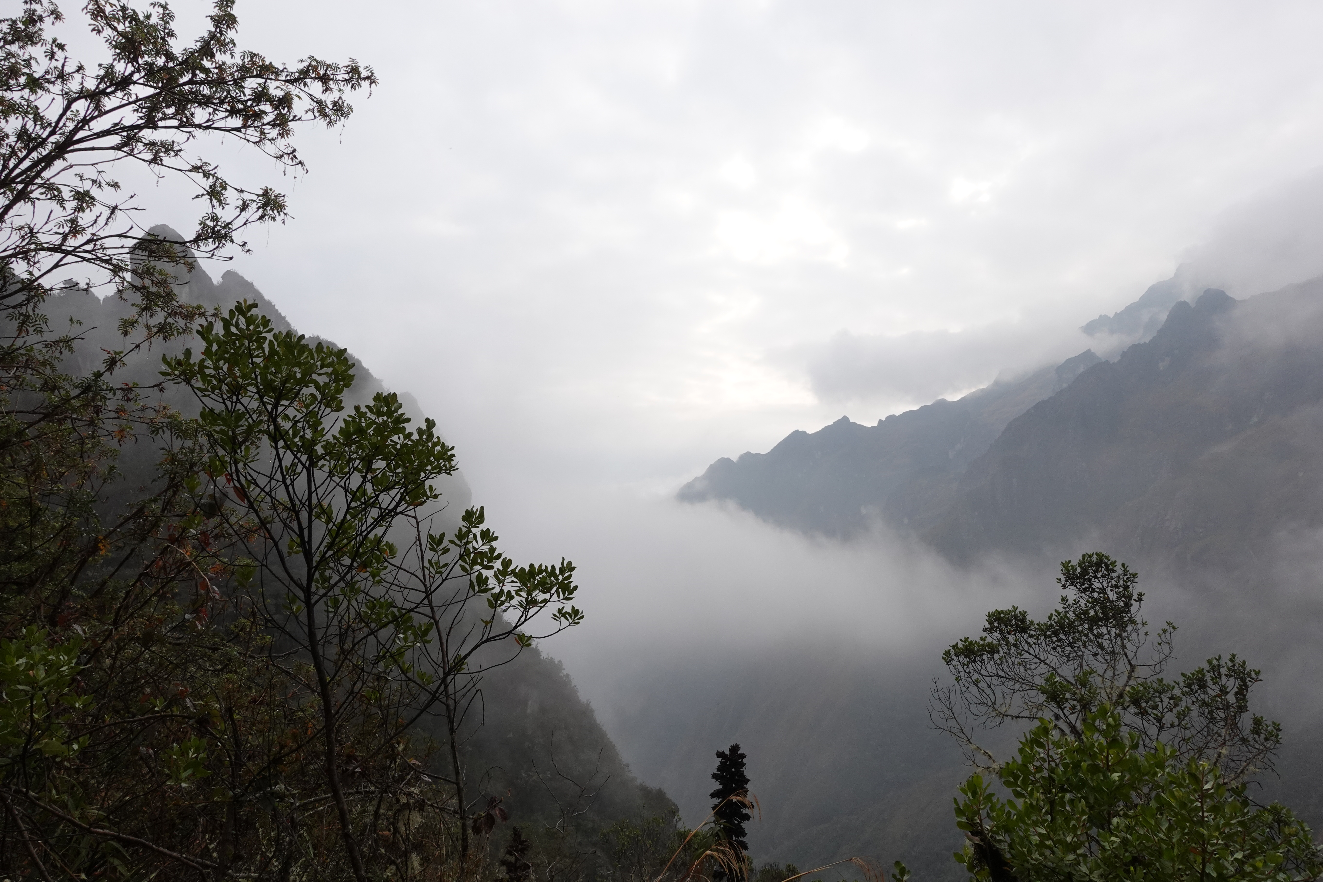 An image of a road taken on the third day of the Inca Trail in Peru