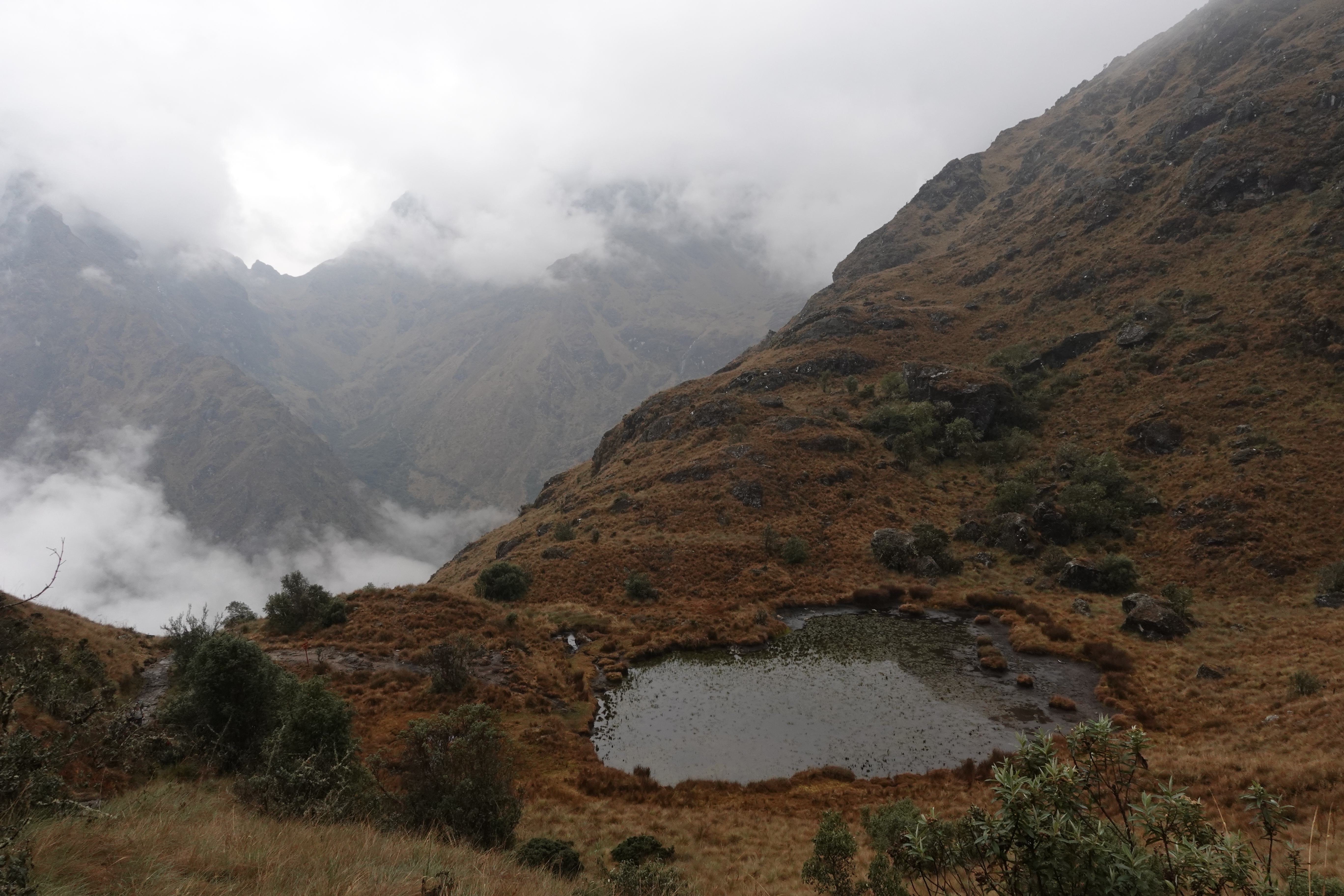 An image of a pond taken on the third day of the Inca Trail in Peru